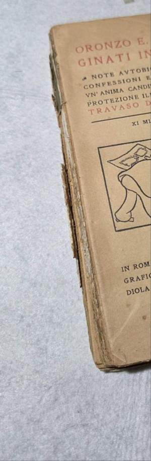 Oronzo E. Marginati intimo - Note autobiografiche confessioni e sfoghi di un'anima candida sotto la protezione illimitata del