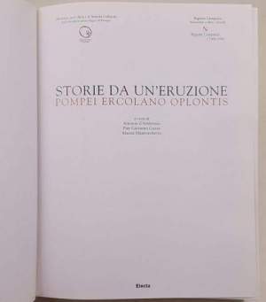 Storie da un'eruzione. Pompei, Ercolano, Oplontis. Ediz. illustrata