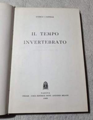 Il tempo invertebrato