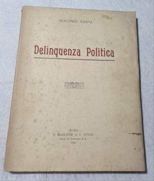 Delinquenza politica