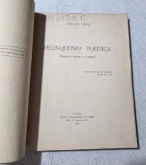 Delinquenza politica