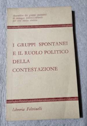 I gruppi spontanei e il ruolo politico della contestazione