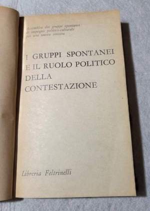 I gruppi spontanei e il ruolo politico della contestazione