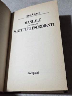 Manuale ad uso degli scrittori esordienti