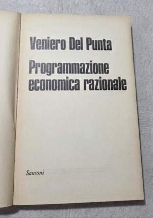 Programmazione economica razionale