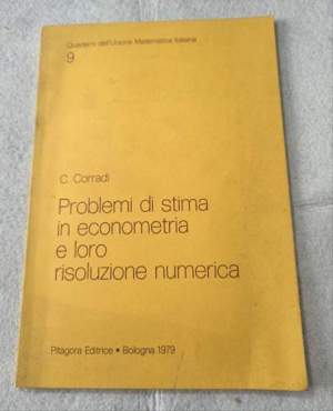 Problemi di stima in econometria e loro risoluzione numerica
