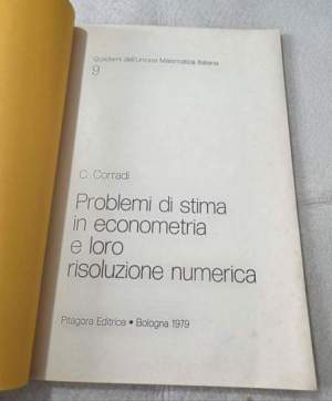 Problemi di stima in econometria e loro risoluzione numerica
