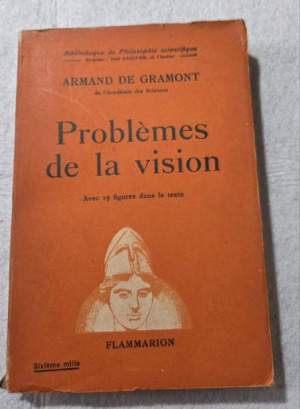 Problemes de la vision
