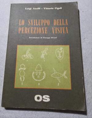 Lo sviluppo della percezione visiva