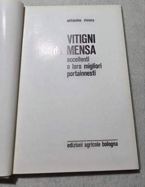 Vitigni da mensa eccellenti e loro migliori portainnesti