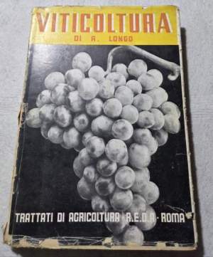 Viticoltura