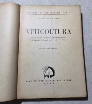 Viticoltura