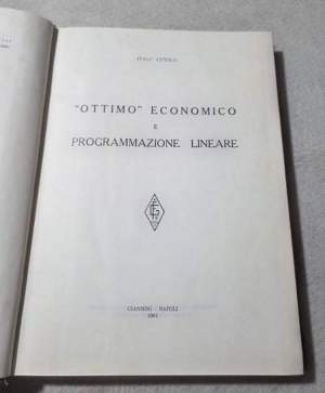  Ottimo economico e programmazione lineare