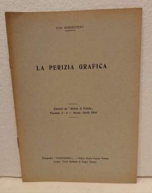 La perizia grafica (estratto)