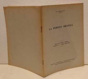 La perizia grafica (estratto)