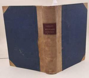 Dizionario estetico