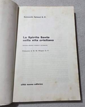 Lo spirito santo nella vita cristiana