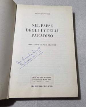 Nel paese degli uccelli paradiso