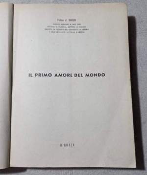 Il primo amore del mondo  - La commovente storia della Madonna