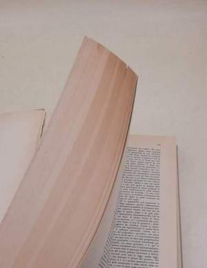 Dizionario di politica