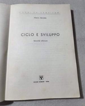 Ciclo e sviluppo