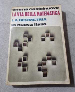 La via della Matematica - La geometria