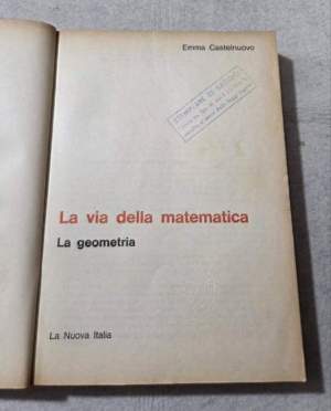 La via della Matematica - La geometria
