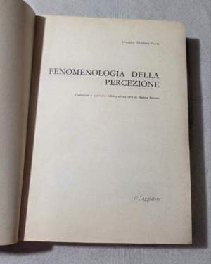 Fenomenologia della percezione