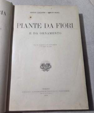 Piante da fiori e da ornamento