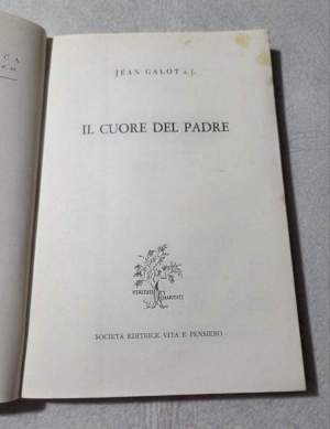 Il cuore del Padre