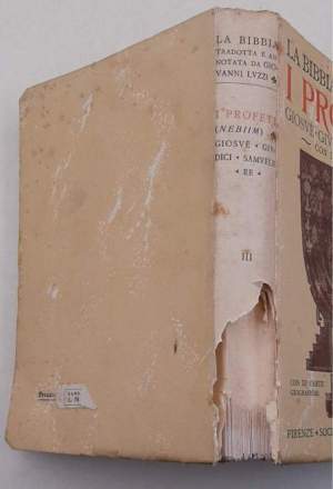 I profeti ( Nebiim ) - Giosue' - Giudici - Samuele - Re