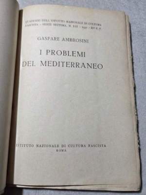 I problemi del Mediterraneo