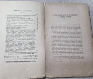 Revue Archeologique- Cinquieme serie - Tome XVII