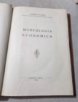 Morfologia economica