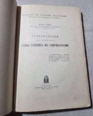 Introduzione allo studio della teoria economica del corporativismo