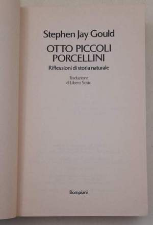 Otto piccoli porcellini