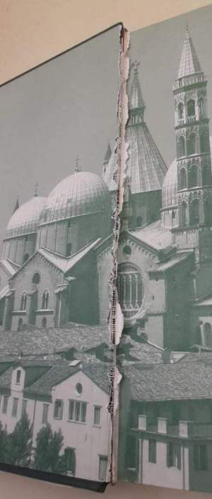 La basilica del Santo. Storia e arte