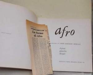 Afro