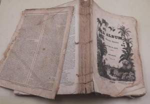 L'Album -Giornale letterario e di belle arti - Anno quarto, vol. 4