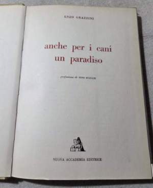 Anche per i cani un paradiso