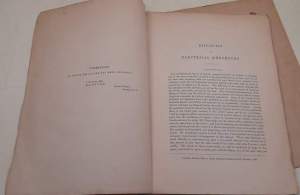 Researches on Electrical Rheometry