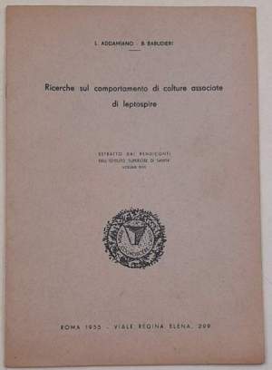Ricerche sul comportamento di colture associate di leptospire