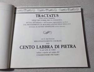 Index 2 - Tractatus Cento labbra di pietra -