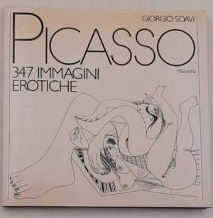 Picasso  347 immagini erotiche