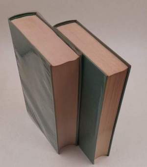 Opere: Poesie e prose d'arte - Saggi critici - 2 Voll.
