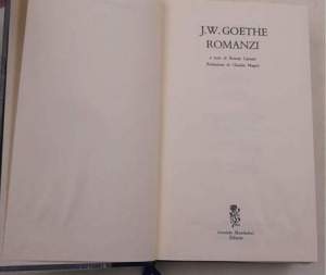 Romanzi