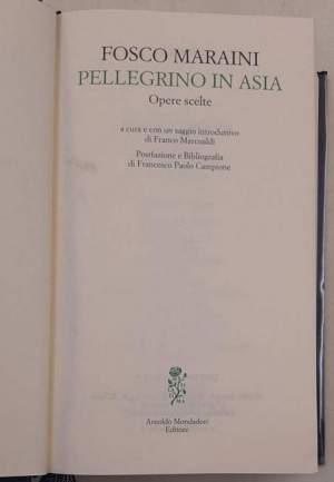 Pellegrino in Asia. Opere scelte
