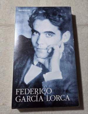 Il mio segreto - Poesie inedite 1917/1919